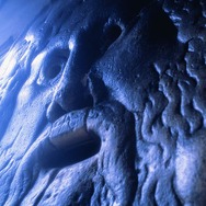 世界ふしぎ発見!DS 伝説のヒトシ君人形を探せ!