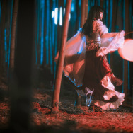 蓬莱山輝夜『東方Project』