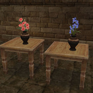 大航海時代 Online 〜Cruz del Sur〜