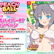 スイッチ『PEACH BALL 閃乱カグラ』本日12月13日発売！“揺れる”ポスターや描き下ろし壁紙をプレゼント