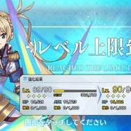 『FGO』フレポ召喚の種火だけで★5サーヴァントをLv.90に―掛かったポイントやガチャ回数はこうなった！【年末年始特集】
