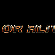 『DEAD OR ALIVE 6』発売日が3月1日に延期―更なるクオリティアップを図るため