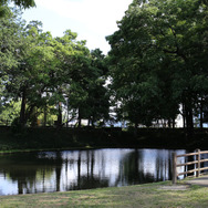 ノベルゲームの傑作『428 ～封鎖された渋谷で～』のような物語は、地元「鶴ヶ島」で生まれ得るのか？