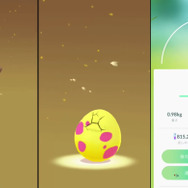 激アツなアローラタマゴ45連！注目のアイツは出てくるのか【ポケモンGO 秋田局】