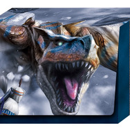Wii『モンハン3』発売記念！「モンスターハンター ハンティングカード」のスペシャルセットも同時発売！
