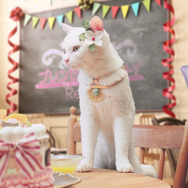 『プリコネR』本日2月15日で配信1周年！ 記念キャンペーンの実施や新TVCMも放送開始