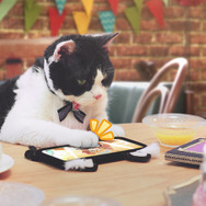 『プリコネR』本日2月15日で配信1周年！ 記念キャンペーンの実施や新TVCMも放送開始