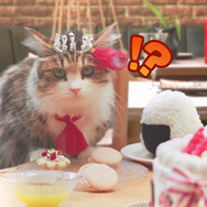 『プリコネR』本日2月15日で配信1周年！ 記念キャンペーンの実施や新TVCMも放送開始