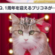 『プリコネR』本日2月15日で配信1周年！ 記念キャンペーンの実施や新TVCMも放送開始