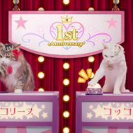 『プリコネR』本日2月15日で配信1周年！ 記念キャンペーンの実施や新TVCMも放送開始