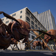 メディアイベントで体験した『EARTH DEFENSE FORCE: IRON RAIN』インプレッション―洋画的迫力で描かれる巨大昆虫との戦い!