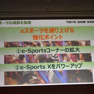 「東京ゲームショウ2019」はe-Sports＆新技術に着目！TGS2019開催概要発表会をレポート
