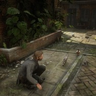 『レッド・デッド・リデンプション2』でも「猫の日」を堪能したい！ “都会の猫”と“田舎の猫”に24時間密着