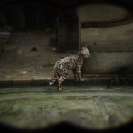 『レッド・デッド・リデンプション2』でも「猫の日」を堪能したい！ “都会の猫”と“田舎の猫”に24時間密着