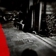 『レッド・デッド・リデンプション2』でも「猫の日」を堪能したい！ “都会の猫”と“田舎の猫”に24時間密着