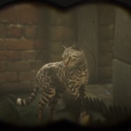 『レッド・デッド・リデンプション2』でも「猫の日」を堪能したい！ “都会の猫”と“田舎の猫”に24時間密着