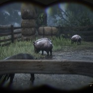 『レッド・デッド・リデンプション2』でも「猫の日」を堪能したい！ “都会の猫”と“田舎の猫”に24時間密着