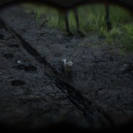 『レッド・デッド・リデンプション2』でも「猫の日」を堪能したい！ “都会の猫”と“田舎の猫”に24時間密着