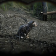『レッド・デッド・リデンプション2』でも「猫の日」を堪能したい！ “都会の猫”と“田舎の猫”に24時間密着