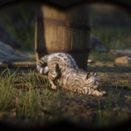 『レッド・デッド・リデンプション2』でも「猫の日」を堪能したい！ “都会の猫”と“田舎の猫”に24時間密着