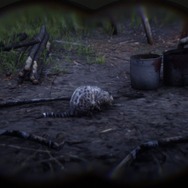 『レッド・デッド・リデンプション2』でも「猫の日」を堪能したい！ “都会の猫”と“田舎の猫”に24時間密着