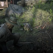 『レッド・デッド・リデンプション2』でも「猫の日」を堪能したい！ “都会の猫”と“田舎の猫”に24時間密着