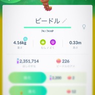 2月27日23時より「Pokemon Direct 2019.2.27」放送決定！ 『ポケモン』新作来るか？