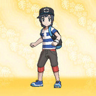 「最新作『ポケモン ソード・シールド』に期待することは？」結果発表―約740件に及ぶ様々な意見が集まる！【アンケート】