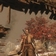 『SEKIRO』で描かれる美しい「和」の世界―序盤の絶景ポイントを紹介
