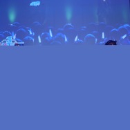 『けものフレンズ3』新ユニット発表！PPPとGothic×Luckのライブも【セガフェス2019】