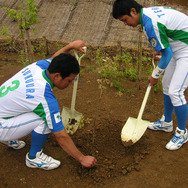 『野球つく2』×セガサミー野球部、バットの素材「アオダモ」を植樹