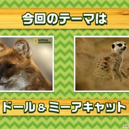 『けものフレンズ３』最新情報満載の「わくわく探検レポート」を実施【生放送まとめ】