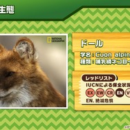 『けものフレンズ３』最新情報満載の「わくわく探検レポート」を実施【生放送まとめ】