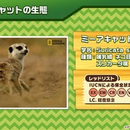 『けものフレンズ３』最新情報満載の「わくわく探検レポート」を実施【生放送まとめ】