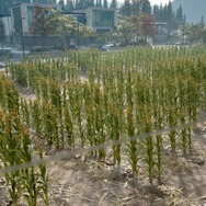 『Days Gone』オレゴン州の美しい自然が見られるスポット12選