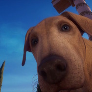 ギリシャ神話を辿って『アサシン クリード オデッセイ』DLC「アトランティスの運命」を解説!EP2の展開はどうなる?