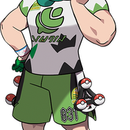 『ポケモン ソード・シールド』伝説含む新ポケモンや登場キャラ達がお披露目！新要素「ダイマックス」でバトルもより刺激的に進化【Directまとめ】