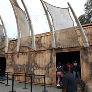 「EA Play 2019」はまるで野外ライブ会場！現地からフォトレポートをお届け【E3 2019】