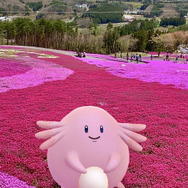 福島県×「ラッキー」観光キャンペーンが7月22日から開催─『ポケモンGO』との連動や謎解きイベントも！