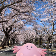 福島県×「ラッキー」観光キャンペーンが7月22日から開催─『ポケモンGO』との連動や謎解きイベントも！