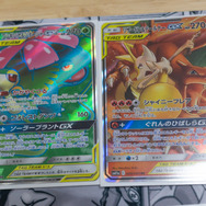 『ポケカ』デビューするベストな時期は「シールド戦」が行われている今？参加賞目当てに始めてみた