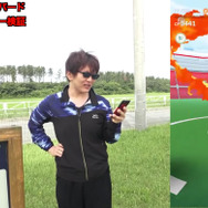 ファイヤーがひこうタイプに革命を起こす！MAX強化してジム戦での使い心地を徹底検証【ポケモンGO 秋田局】