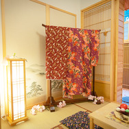 台湾人気コスプレイヤーMomoが経営する理想のスタジオ！台湾事情に鑑みた自己プロデュースで最前線を走りたい【写真54枚】