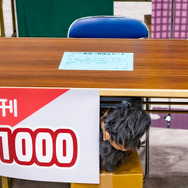 2018年夏水着イベント再現「ルルハワアイランド」エレシュキガルの震えやサバフェス会場の作り込みに注目【FGOフェス2019】