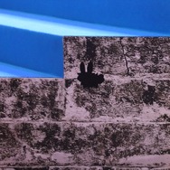 あんなところからこんなところまで！FGOフェスで隠しフォウくん探してみた