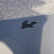 あんなところからこんなところまで！FGOフェスで隠しフォウくん探してみた