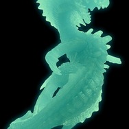 Wii「モンスターハンター3(トライ) LIMITED EDITION」に同梱されるアイテム詳細を公開