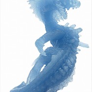 Wii「モンスターハンター3(トライ) LIMITED EDITION」に同梱されるアイテム詳細を公開