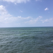 『FGO』日差し照り付ける真夏の昼間…野を越え山越え海に辿り着いた僕は「水着ガチャ」を引く―大自然で挑むガチャには驚きのドラマが待っていた！【特集】