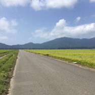 『FGO』日差し照り付ける真夏の昼間…野を越え山越え海に辿り着いた僕は「水着ガチャ」を引く―大自然で挑むガチャには驚きのドラマが待っていた！【特集】